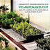 Bio Green Aluminium-Heizmatte inkl. Thermostat, 0,60 x 2,00 m