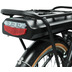Blaupunkt Franzi  20 Zoll edles extremer Tiefeinsteiger E-Folding bike in titanium matt