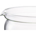 Bodum SPARE BEAKER Ersatzglas zu Teebereiter 1.5 l transparent