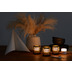 Duni LED Mini Lampe 8er Set multicolour inkl. warmweiß mit 8er Set Bambus Halter