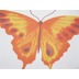 Elbersdrucke Bistrogardine Mariposa rot-orange-pink