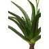 fleur ami Aloe Kunstpflanze, blhend 106 cm