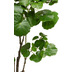 fleur ami Begonian Kunstpflanze 116 cm