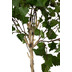 fleur ami Birch white trunk Kunstpflanze 193 cm