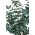 fleur ami Eucalyptus Kunstpflanze 90 cm