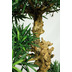 fleur ami Kunstpflanze Podocarpus Bonsai, 120 cm