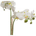fleur ami Phalaenopsis w/LVS Kunstpflanze 71 cm