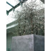 fleur ami POLYSTONE STYLE Pflanzsäule, 35x35/100 cm, grau