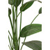 fleur ami Strelitzie Kunstpflanze 167 cm