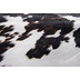 Gino Falcone Teppich Emilia AFT28355 black / white 100 x 130 cm Fellform