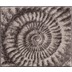GRUND Badteppich Ammona beige 60 cm x 100 cm