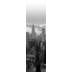 Home Wohnideen NEW YORK Schiebevorhang aus Dekostoff digitalbedruckt schwarz wei 245x60 cm