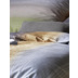 irisette Edel-Feinbiber Bettwsche Set Koala 8489 multi 135x200 cm + 1x80x80 cm