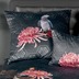 Janine Bettwäsche-Garnitur Mako-Satin grau rosé living coral Papagei Bettbezug 135x200, Kissenbezug 80x80cm