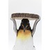 Kare Design Beistelltisch Animal Mr Penguin Ø33cm