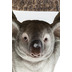 Kare Design Beistelltisch Animal Koala 33cm