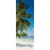 Komar Digitaldruck Vliestapete \"Coconut Bay\" 100 x 280 cm
