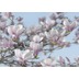 Komar Fototapete Magnolia 368 x 254 cm
