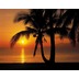 Komar Fototapete Palmy Beach Sunrise 368 x 254 cm