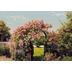 Komar Fototapete Rose Garden 368 x 254 cm