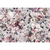 Komar home Vlies Fototapete \"Lovely Blossoms\" 350 x 250 cm