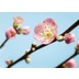 Komar Vlies Fototapete munich design book - Peach Blossom 350 x 250 cm