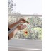 Komar Window-Sticker Winnie Pooh 31 x 31 cm