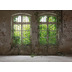 Livingwalls Fototapete Designwalls 3D Tapete Old Window beige braun grün Vliestapete glatt 3,50 m x 2,55 m