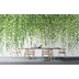 Livingwalls Fototapete Walls by Patel Efeu Tapete Hanging Garden grau grün Vliestapete glatt 4,00 m x 2,70 m