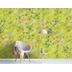 Livingwalls Fototapete Walls by Patel Blumentapete Tender Blossom grün Vliestapete glatt 4,00 m x 2,70 m