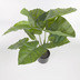 Nosh Alocasia Odora Kunstpflanze mit Topf schwarz 57 cm