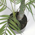 Nosh Palmera Kunstpflanze mit Topf schwarz 70 cm