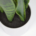 Nosh Sansevieria Kunstpflanze mit Topf wei 55 cm