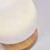 Nosh Tischlampe Ambar aus Polyethylen und Holz