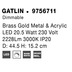 Nova Luce Deckenleuchte GATLIN LED Messing Gold