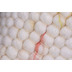 Sansibar Handwebteppich Hrnum UNI multi pastell 40 x 60 cm