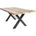 SIT TABLES & CO Tisch 220x100 cm, Altholz bunt lackiert Platte bunt, Gestell schwarz