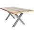 SIT TABLES & CO Tisch 220x100 cm, Altholz bunt lackiert Platte bunt, Gestell silber