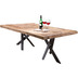 SIT TABLES & CO Tisch 200x100 cm Platte natur, Gestell antikschwarz, Platte Teak, Gestell antikschwarz