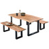 SIT TABLES & CO Tisch 120 x 80 cm, Platte natur, Gestell schwarz Platte natur antikfinish, Gestell antikschwarz lackiert