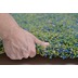 THEKO Teppich Color Shag 521 300 grün 57 x 90 cm