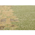 THEKO Nepalteppich Fine Nature C2460 green 161 x 234 cm