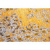 Tom Tailor Teppich Funky Orient Kirman gold 155 x 235 cm