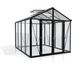 vitavia Gewchshaus Zeus Comfort Einscheibenglas/Hohlkammerplatte, schwarz Zeus Comfort 8100, 8,1 m, 2,58 m x 3,16 m