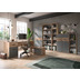 xonox.home Mason Stauraumshelf (B/H/T: 80x199x37 cm) in Nox Oak Nachbildung und Basalt grau Nachbildung