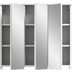 xonox.home Mood Spiegelschrank (B/H/T: 65x60x20 cm) in wei Nachbildung und wei Nachbildung
