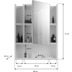 xonox.home Venice Spiegelschrank (B/H/T: 60x77x19 cm) in wei Melamin und wei Hochglanz tiefzieh