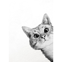 AS Création Leinwandbild Sneaky Cat 50 cm x 70 cm