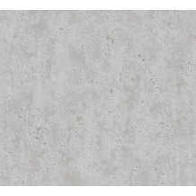 AS Création Vliestapete Beton Concrete & More Tapete in Vintage Beton Optik grau 366004 10,05 m x 0,53 m