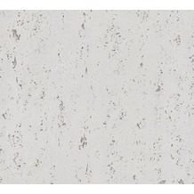 AS Création Vliestapete Beton Concrete & More Tapete in Vintage Beton Optik grau 364702 10,05 m x 0,53 m